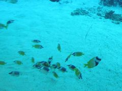 -新加坡海洋生态馆