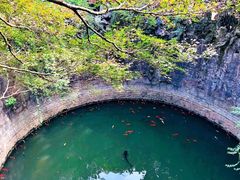 -八卦田遗址公园