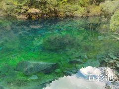 -叠溪松坪沟景区