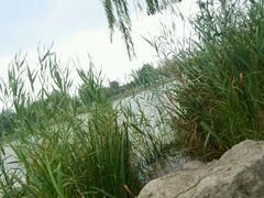 android_upload_pic-红莲湖