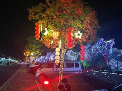 -福建土楼（华安）旅游区•大地土楼群