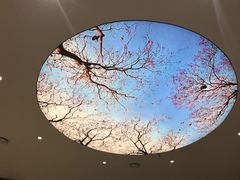 -凤翔首邑温泉度假村