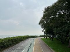 -贡湖湾湿地公园