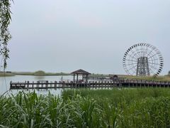 -苏州太湖湖滨国家湿地公园