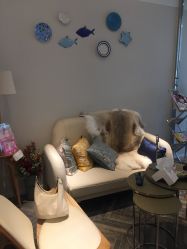 -松和日式美容整骨