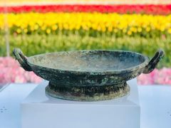 -荷兰花海