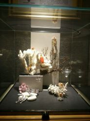 -北京七彩云南翡翠珠宝旗舰店(月坛店)