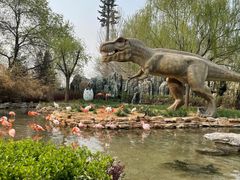 -北京野生动物园