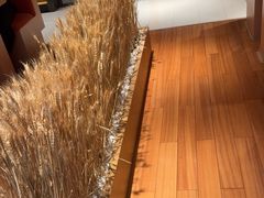 -西村日本料理(香格里拉饭店)