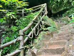 -碧峰峡风景区