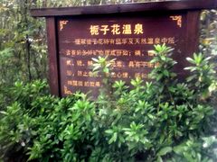 -江南天池高山汤泉城