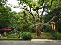 -三台山庄中餐厅