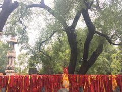 -大槐树寻根祭祖园