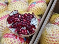 -西郊国际农产品交易中心