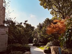 -上海崇明金茂凯悦酒店