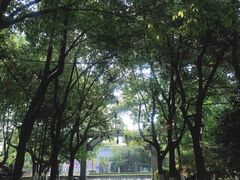 -江墅铁路遗址公园