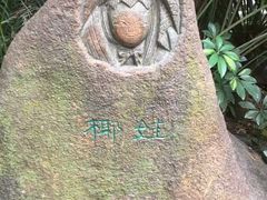 -呀诺达热带雨林