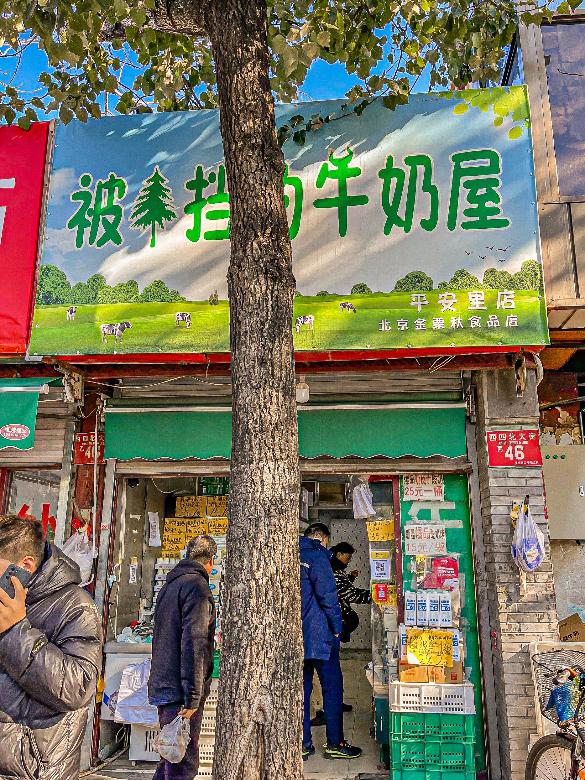 卡士酸奶屋图片