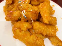 -东仔·东北小酒馆(新乐店)