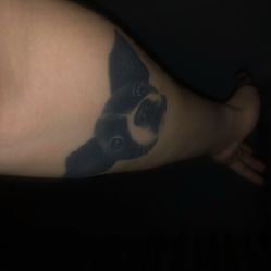 -刺客纹画纹身·洗纹身·穿孔饰品