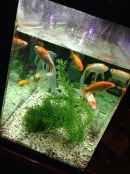 iphone_upload_pic-汉刺青TATTOO STUDIO