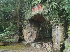 -海口火山口国家地质公园