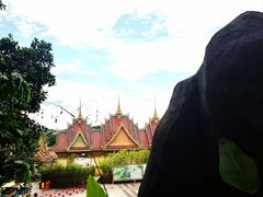 -西双版纳原始森林公园