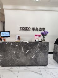 -YESIDO椰岛造型