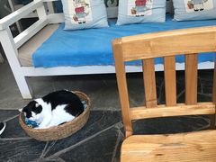 大堂-Anne猫窝咖啡屋