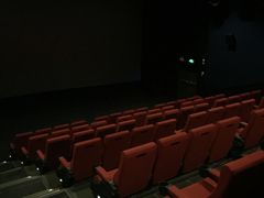 -万达影城(闵行颛桥万达广场杜比影院店)