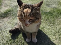-秦岭终南山世界地质公园翠华山景区