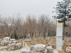 -大兴滨河森林公园