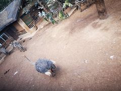 -昆明动物园