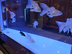 -黄鱼炙夜(华家池店)