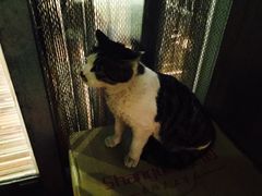 -有才叔的小馆(招商依云曲江店)