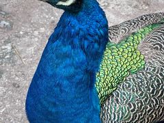 -昆山城市生态森林公园