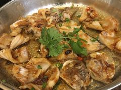 桑拿鸡菜心-阿多私房菜(顺德店)