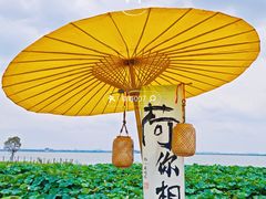 -七的湖·晚芳亭·阳澄湖农家菜·大闸蟹(莲花岛店)