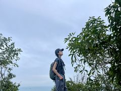 -南丫岛