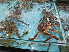 -渔民新村(番禺总店)