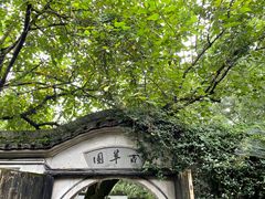 -绍兴鲁迅故里·沈园景区