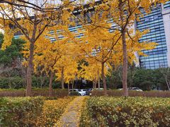 -上海中医药大学附属曙光医院(东部)