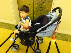 -新加坡瑞士史丹福酒店