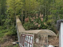 -千泷沟大瀑布旅游区
