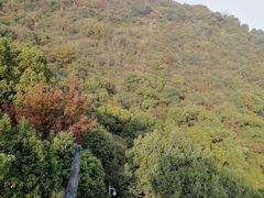 -杭州半山国家森林公园