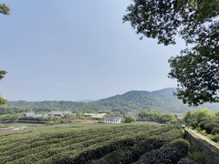 -野蔓果·山野菜(西湖景区·龙井茶田店)