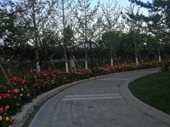 -西海子公园