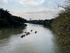 -海珠湖公园