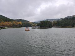 -庐山风景区花径公园