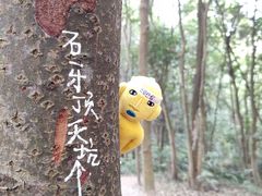 -黄埔油麻山森林公园